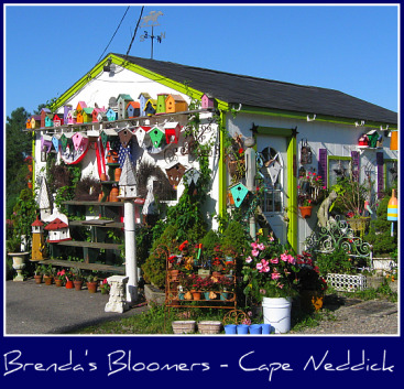 flower-shop-cape-neddick.jpg flower-shop-cape-neddick.jpg