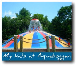 maine-attractions-aquaboggan.jpg