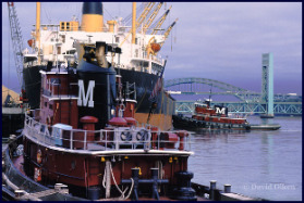pictures-of-maine_tugboats