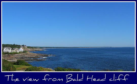 bald-head-cliff.jpg bald-head-cliff.jpg