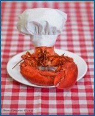 maine-lobster-chef