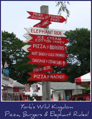 Maine-zoo-sign.jpg Maine-zoo-sign.jpg